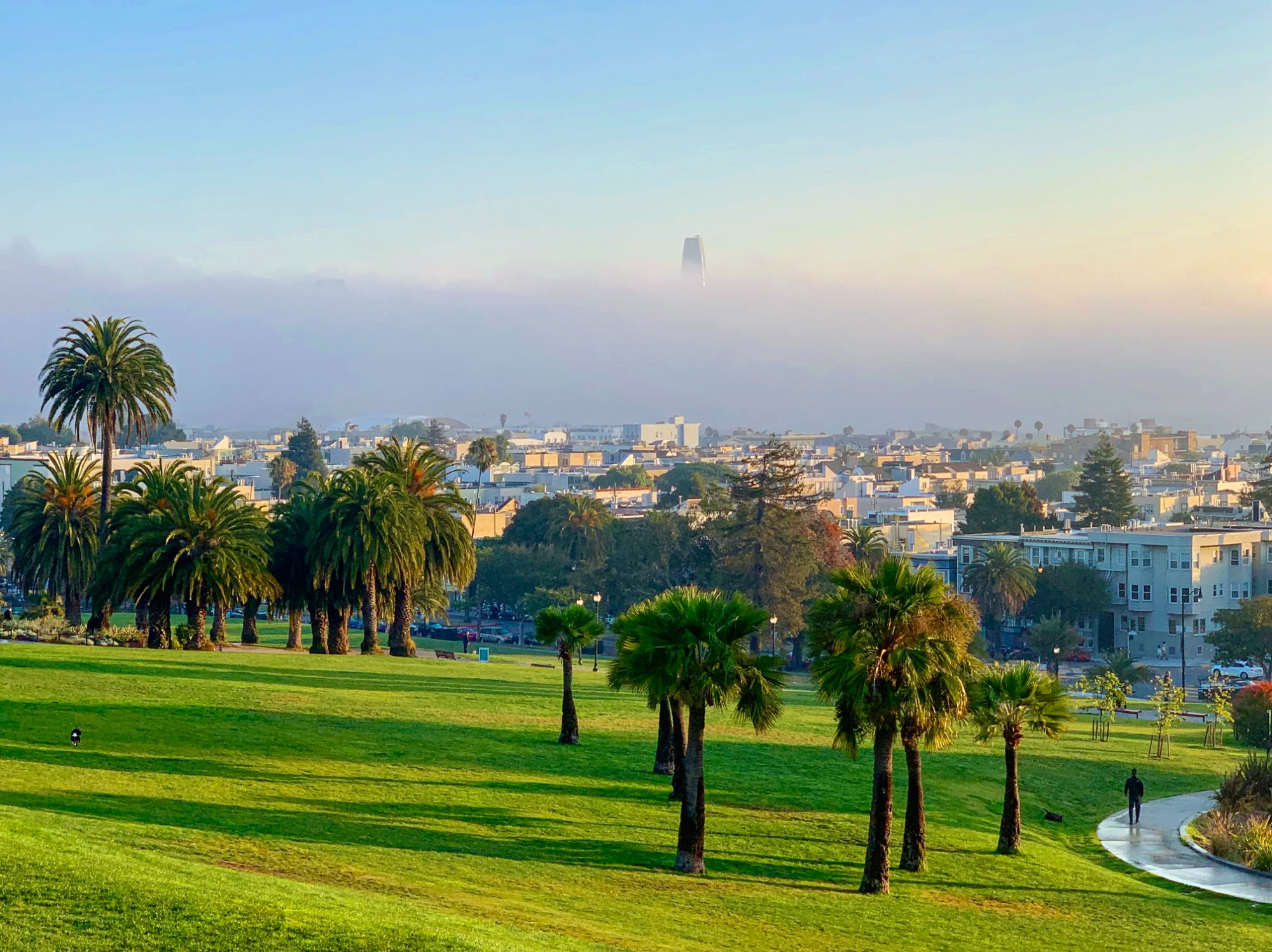 Dolores Park with skyline views